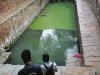 Step well