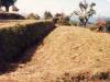 erosion control method