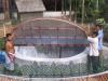 rainwater harvesting