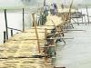 Bamboo bridge