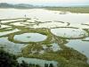 Loktak lake