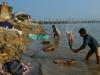 Polluted Ganga