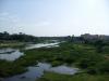 adyar river