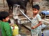 indiamark handpump