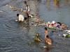 polluted ganga