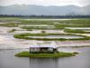 wetland