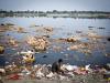 Polluted Yamuna