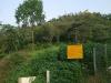 greenery around temple