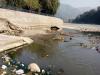 Sewage in Ganga