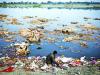 polluted yamuna