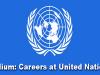 careers at united nations