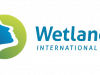 Logo_Wetlands