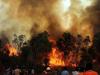 a file photo of fire in forest this fire season of Nainital