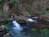 springs in sikkim