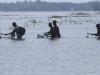 bihar assam flood