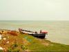 sinking island of sunderban