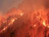 forest fire in uttarakhand