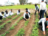 agriculture courses