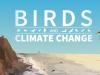 birds and climate change