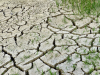 india will revive submerged areas suffered from desertification