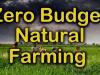 zero budget natural farming