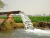 Groundwater Scenario in M.P