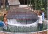 rainwater harvesting