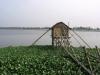 East Kolkata Wetland