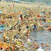 Murti Visarjan