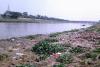 polluted hindon