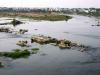 Kaveri river