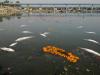 Yamuna river after immersion of sculptures 