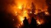 uttrakhand foresr burning