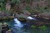 springs in sikkim