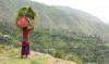 A woman, balancing a tall bundle of long grasses on her head