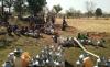 acute water crisis in bundelkhand