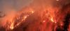 forest fire in uttarakhand