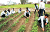 agriculture courses