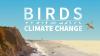 birds and climate change