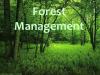 career in forest management forest department