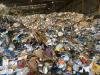 paper recycling can save environment