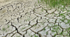 india will revive submerged areas suffered from desertification